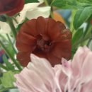 오빠가 데리러 갈 개 | 매일이 birthday (3月 일상)