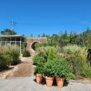 이디야춘천소양강점 이미지