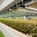 재정농장 이미지