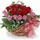 도담종합건축사사무소 이미지