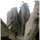 중국 황산(黃山)- 항주(HANGZHOU) 여행기 이미지