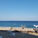 바다정원 이미지