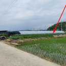 이천매곡초교 이미지