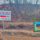 선돌촌마을 이미지