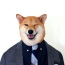 개간지