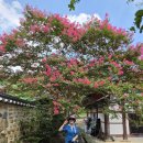 [번개후기]8월1일(토)논산배롱투어*연산향교 이미지