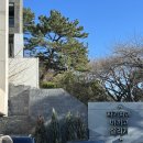 자기치아살리기드림플란트치과의원 이미지