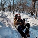 만항등산로입구 이미지