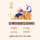 오케이돌봄