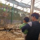 다누리센터 아쿠아리움 이미지