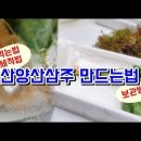 산삼주 담그는법 산양산삼 효능 먹는법 보관법 이미지