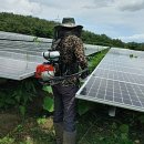 영천2 태양광발전소 이미지