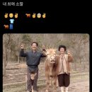 행복하소 | 행복하소~