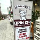 테리네간식 이미지