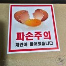 야마기시즘실현지영농조합법인 | 생명력 넘치는 산안마을 유정란 내돈내산