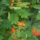 남월농장 | 『답상(塔像) 제4』-25-남월산(南月山)