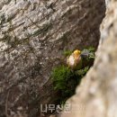 국립산림과학원 2