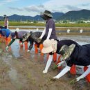 장흥군 농업기술센터 이미지