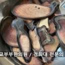 감초부부한의원 이미지