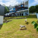 그집펜션 이미지