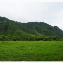 두건목장 이미지