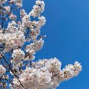 평택호길 이미지