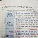 Re: 각론1 199p 쉬케단츠의 쓰기발달전략, p114 한글의 구조적 특성 이미지