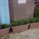 나의 정원 이미지