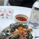 삼보렌트카 | ✨ 일 년에 3번 이상은 꼭 가는 제주도 러버가 추천하는 찐 맛집 후기 | 애월 • 중문 • 서귀포