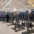 마이더스짐 이미지