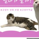 내포동물의료센터 이미지