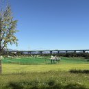 파크골프장 이미지