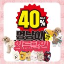 폴리파크목련