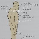 지에이치메디컬(GH Medical) | 인체생리학 🔷️109 내분비생리 / 뇌하수체 전엽(선하수체) 호르몬 👉 성장호르몬 최유호르몬 갑상선자극...