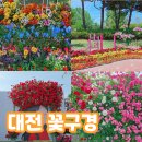 유림-37 | 대전 데이트 유림공원 산책 후 대청호 장미전시회까지
