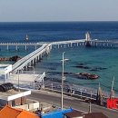 울진시범바다목장해상낚시 이미지