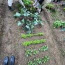 농업법인(주)사조원 | 도시농업관리사 교육과정 수업 후기(명지대 도시농업관리사 교육과정, 5~6주차)