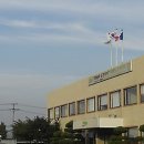산별구제 SBS