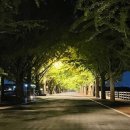 아이댄스 | 우리 아이 스트레스 싹 날려준 서초보컬댄스학원 등록 후기
