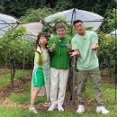 샤인트래블 이미지