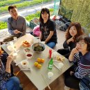 대하농장 이미지