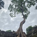 캄보디아 탐방기 (1) 이미지