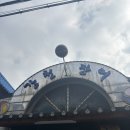 강천장어 | [경기 광주/오포] 우리 집 단골 보양식 맛집, 강천장어 N번째 재재재재방문 찐후기!