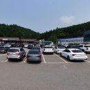 영동목장 | 대관령 양떼목장 다녀온 후기