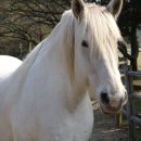 경마공원 이미지