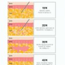 밴스의원 - 천안시 서북구 불당21로 67-18 | 밴스의원