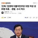 더불어 성추행당 이미지