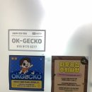송도에 있는 친절한 파충류분양 전문샵, 오케이게코 방문 후기