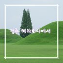 로사의집 이미지