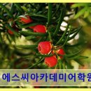 이에스씨학원 네이버블로그